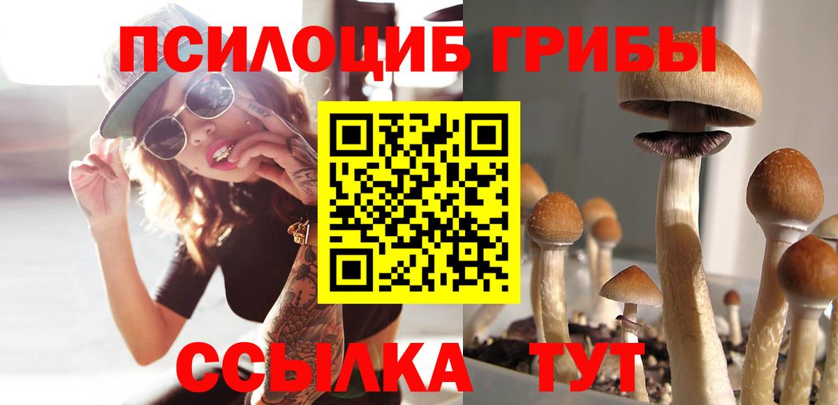 Псилоцибиновые грибы ЛСД Ржев